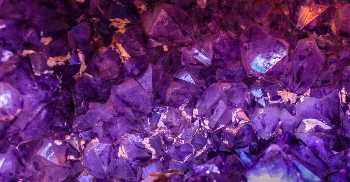 closeup photo of purple gemstones